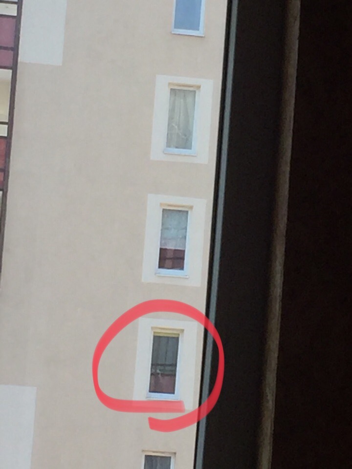 Окно напротив соседи. Соседские окна. Соседи в окне. Соседи в окне напротив.