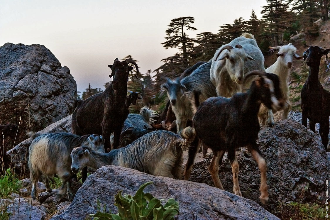 Elven path. - My, Travels, The photo, Tourism, Wild tourism, Hiking, The mountains, Longpost