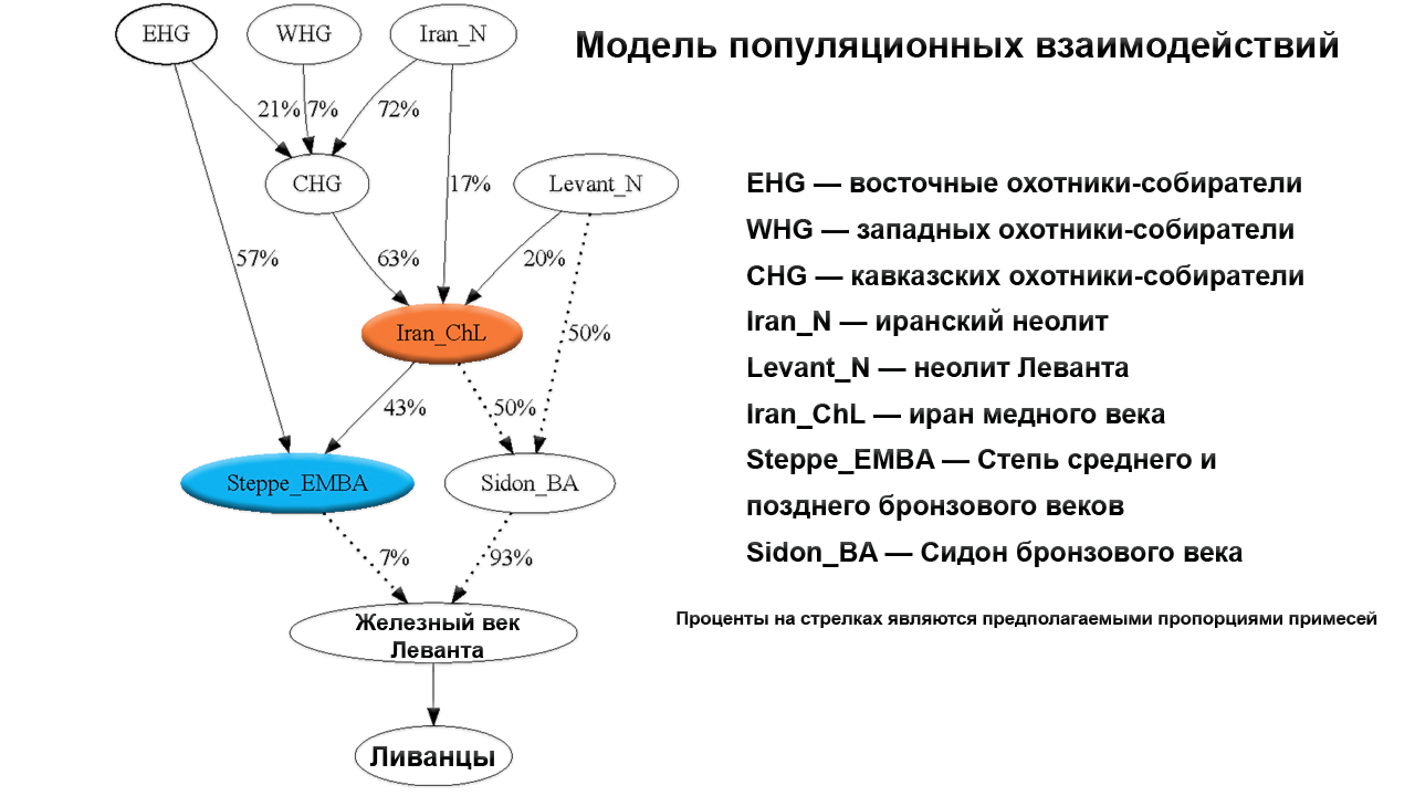 Как повлияли крестовые походы на генофонд населения Ближнего Востока |  Пикабу