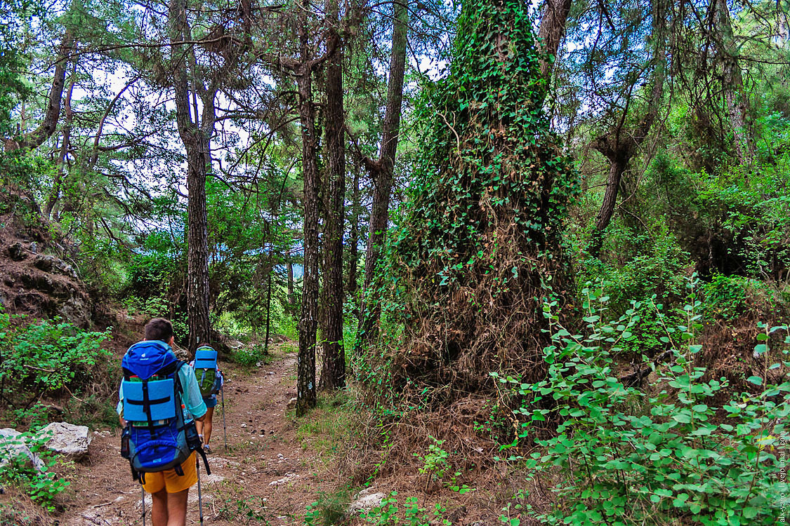 Elven path. - My, Travels, The photo, Tourism, Wild tourism, Hiking, The mountains, Longpost