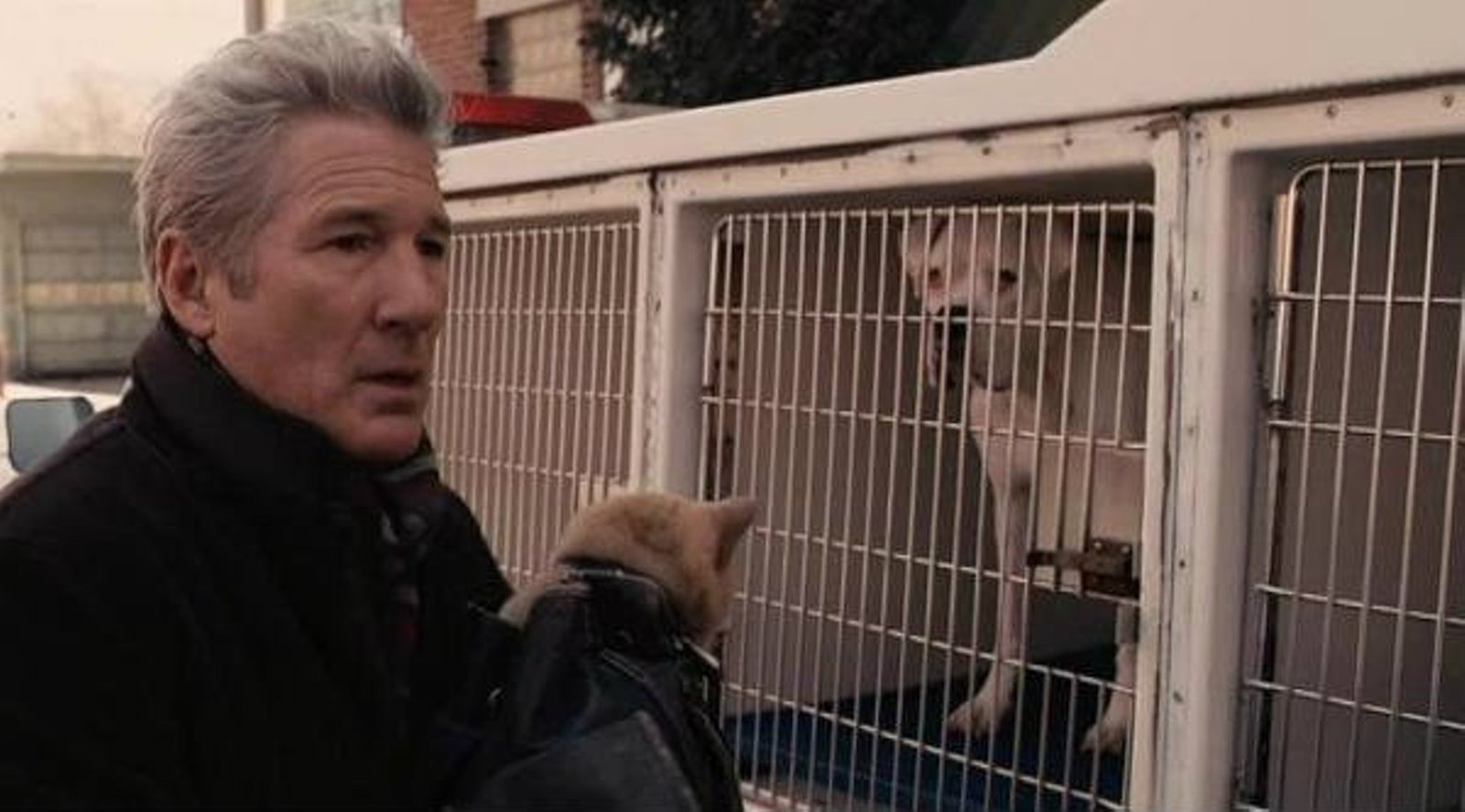 How Richard Gere has changed over his film career. - Richard Gere, A selection, It Was-It Was, Celebrities, Time flies, Longpost