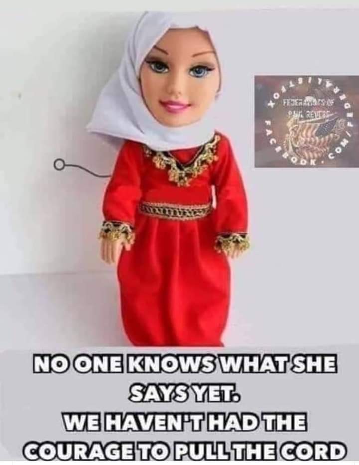 The toy is the bomb - Humor, Picture with text, Doll