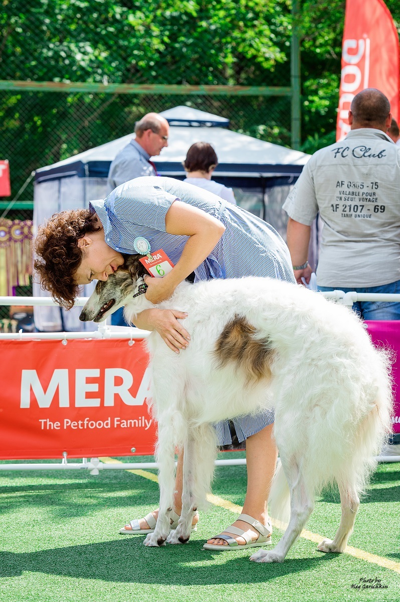 I continue to publish reportage pictures from dog shows that took place in the South of Russia in 2018, pleasant viewing))) - My, Dog, Dogs and people, Dog show, Dog days, Dog lovers, Longpost