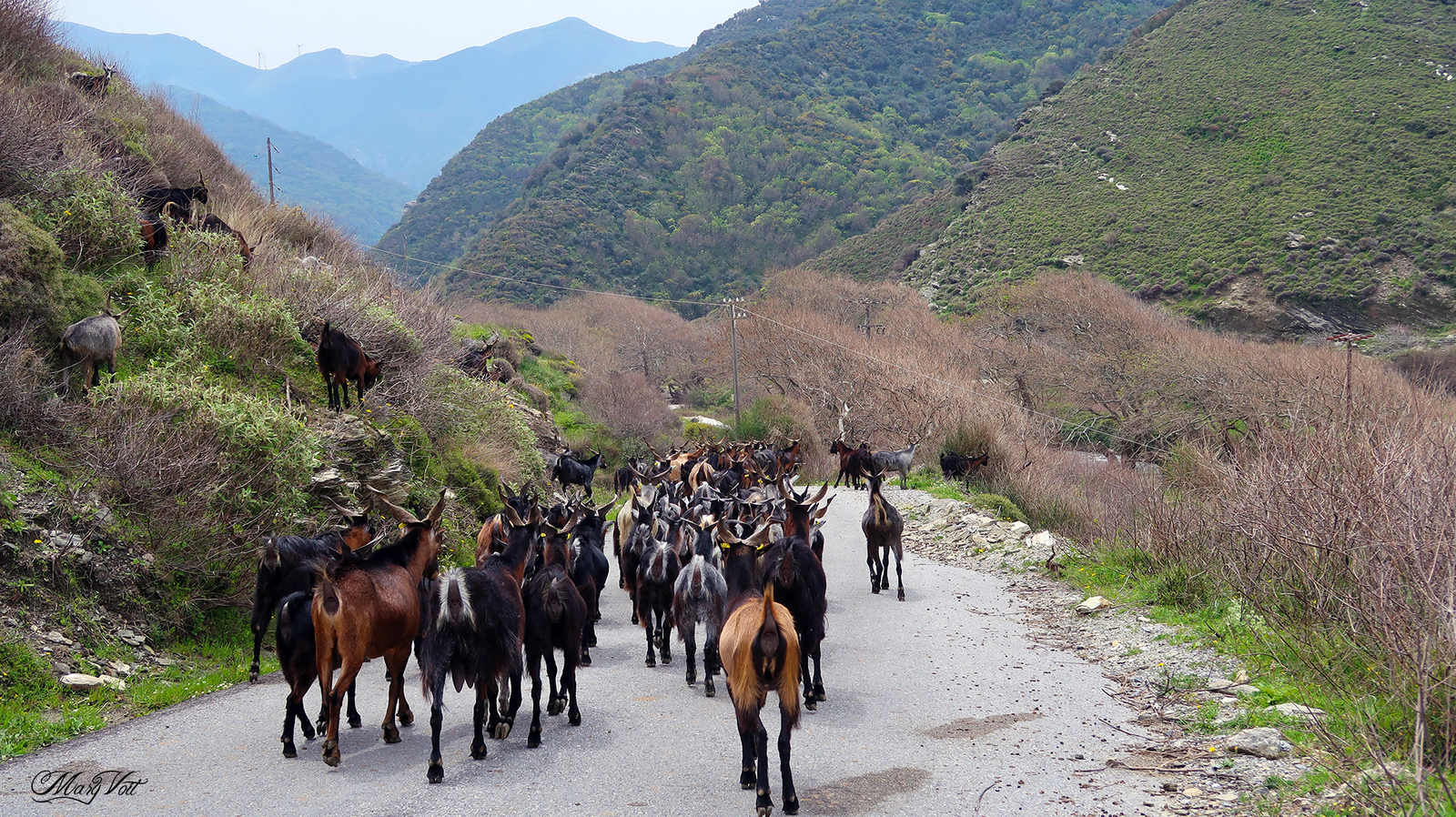 The beauties of southwestern Evia - My, Greece, Evia, Island, Nature, Video, Longpost