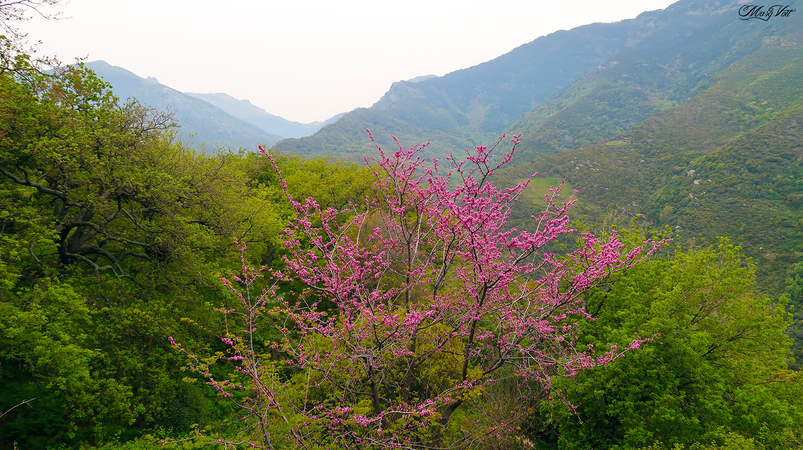 The beauties of southwestern Evia - My, Greece, Evia, Island, Nature, Video, Longpost