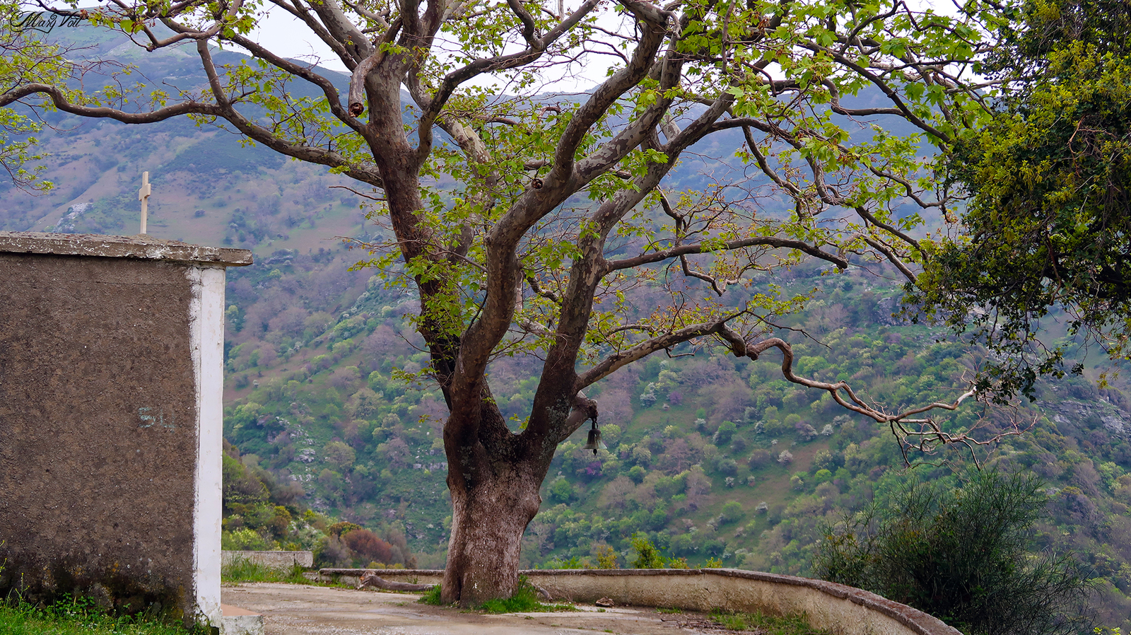 The beauties of southwestern Evia - My, Greece, Evia, Island, Nature, Video, Longpost