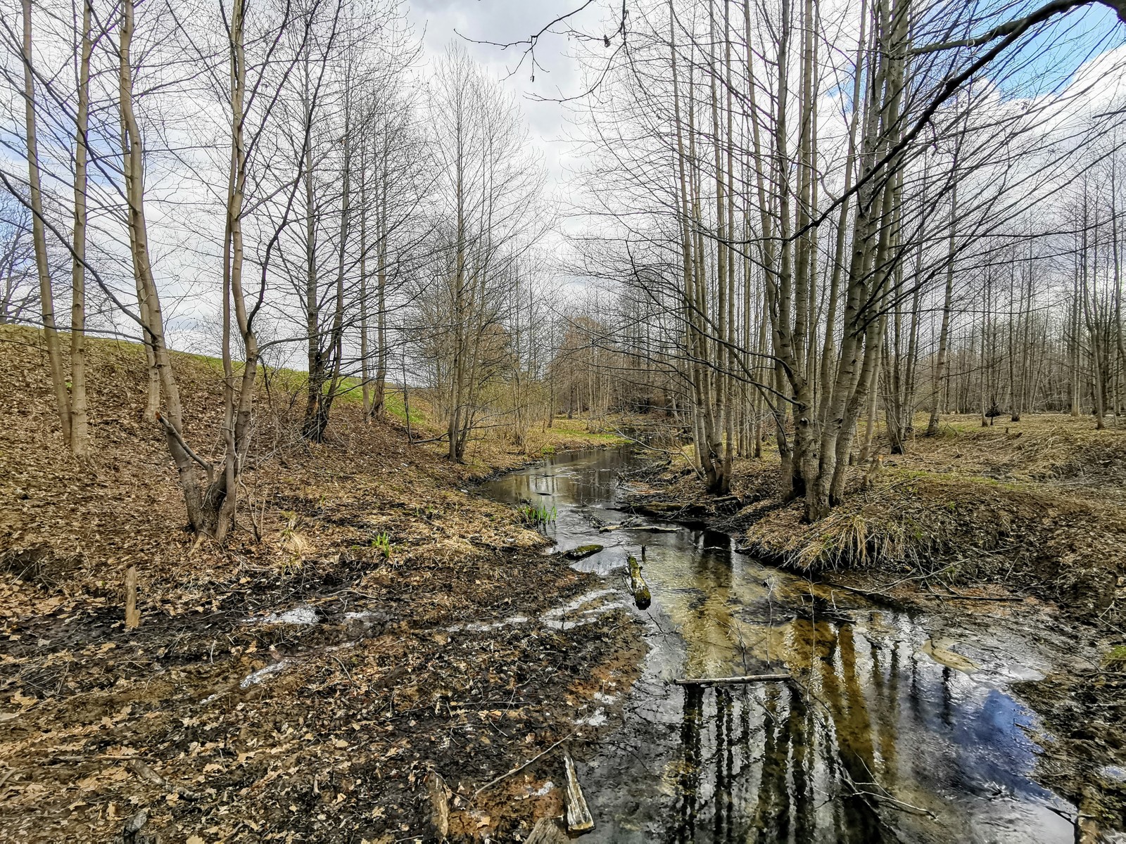 Весенние зарисовки - Моё, Мобильная фотография, Фотография, Длиннопост, Дзержинск, Huawei mate 20