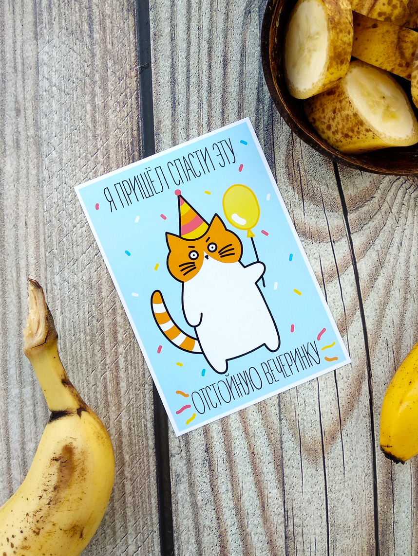 Postcards #4 - My, cat, Illustrations, Postcard, Longpost