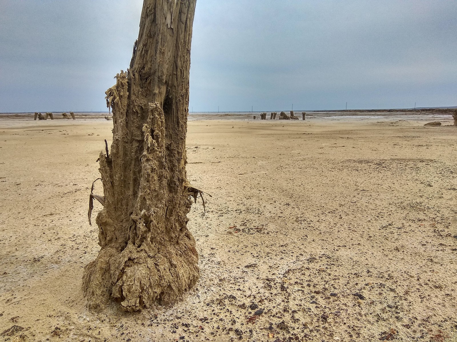 Baskunchak Lake - My, Travels, Russia, Pokatushki, Longpost