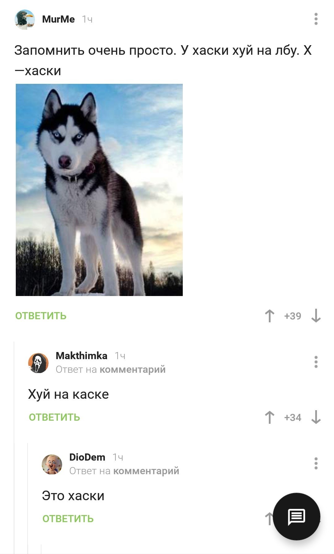 How to spot a husky - Husky, Poems, Comments on Peekaboo