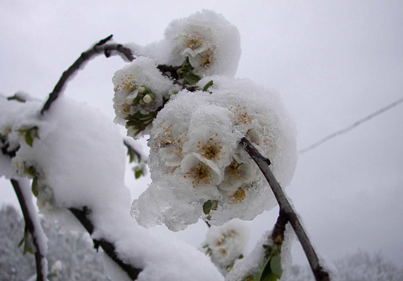 May: I'm an artist, I see it that way. - My, The photo, Italy, Snow, Apennines, Longpost