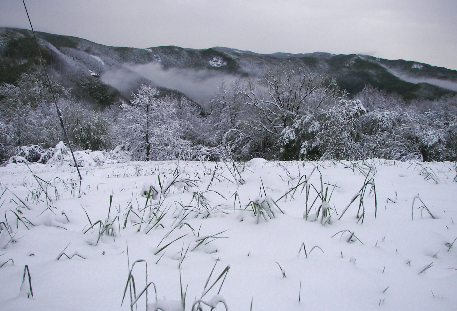 May: I'm an artist, I see it that way. - My, The photo, Italy, Snow, Apennines, Longpost