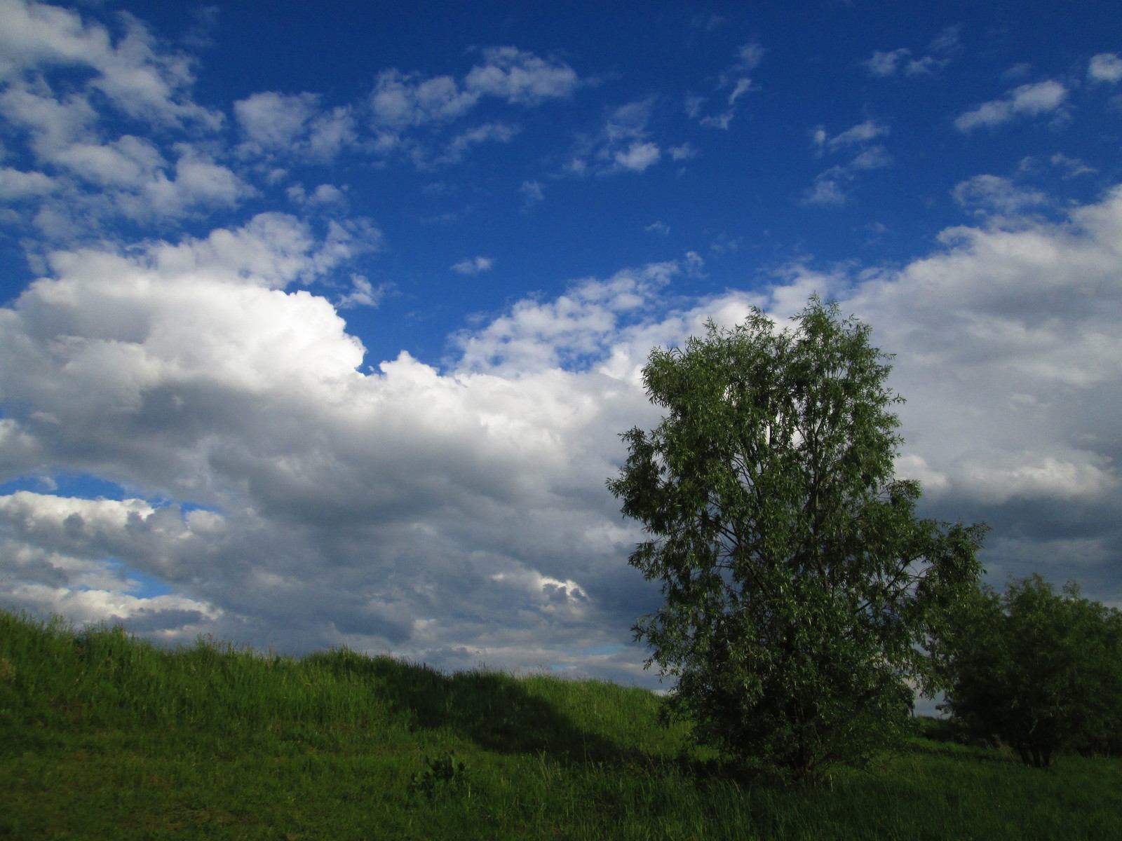 The Beauty of Siberia - My, Beginning photographer, Nature, Summer, The photo, Longpost