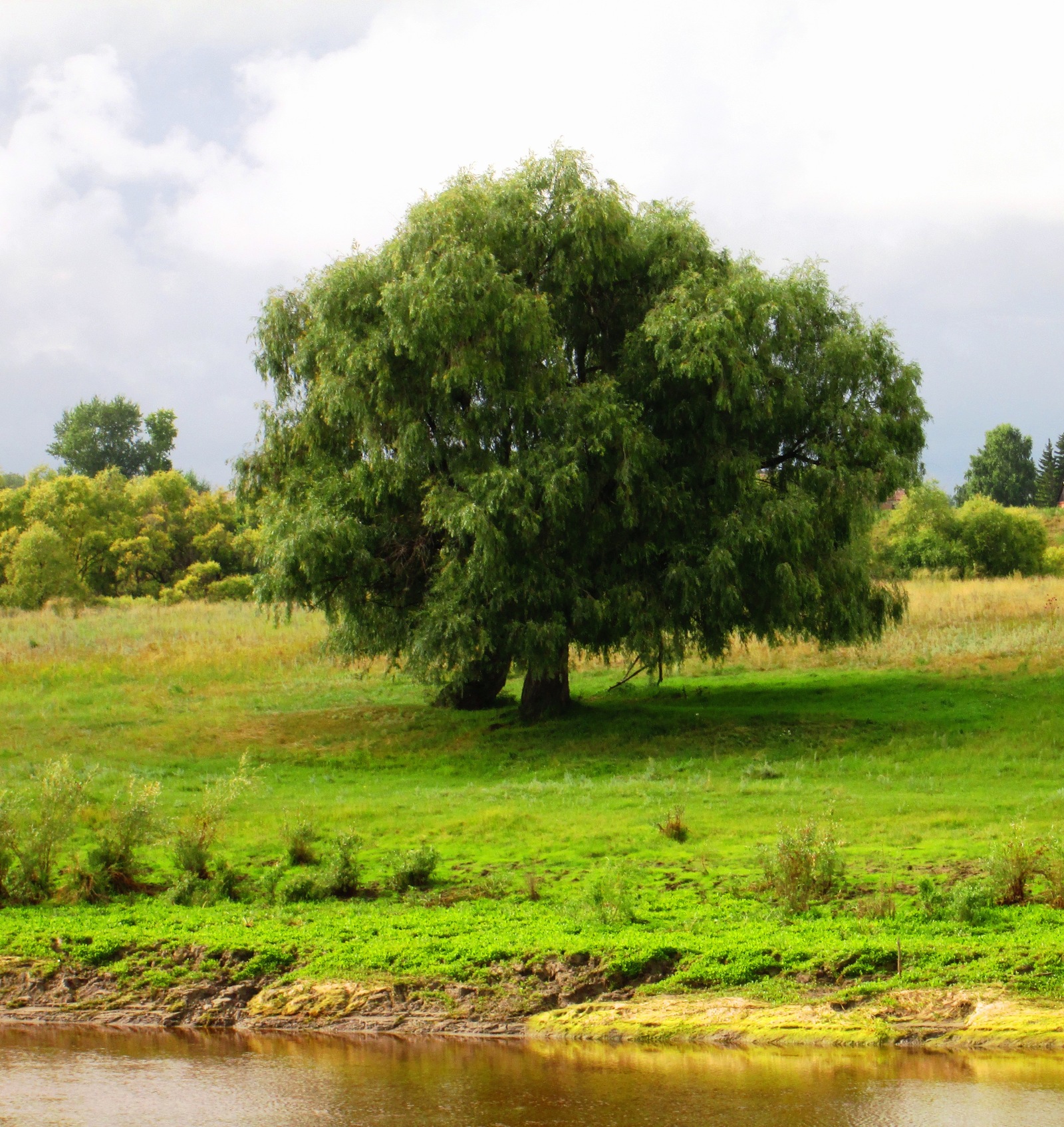 The Beauty of Siberia - My, Beginning photographer, Nature, Summer, The photo, Longpost