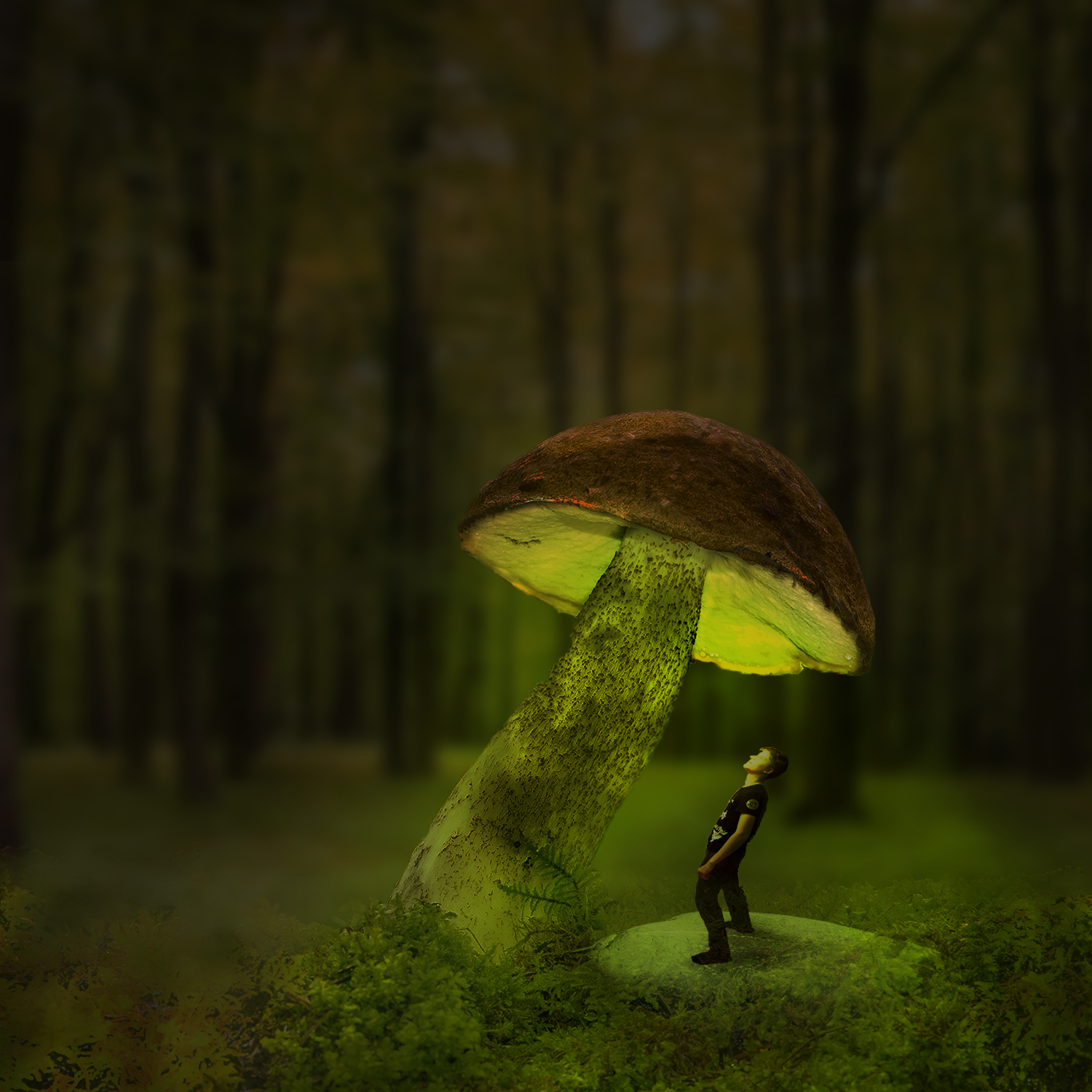 Mushroom - Photoshop, 