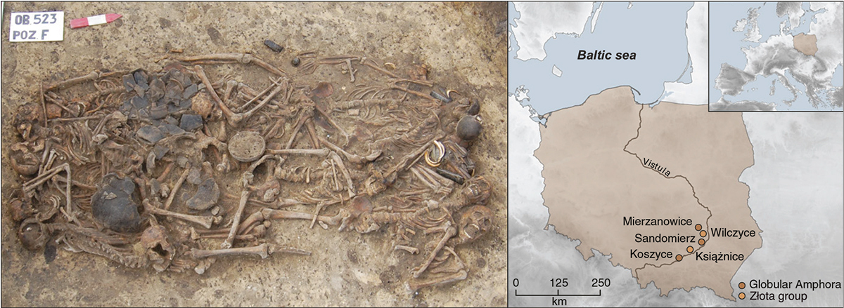 A brutal massacre five thousand years ago. Unusual burial discovered - My, Negative, Archeology, Story, Neolithic