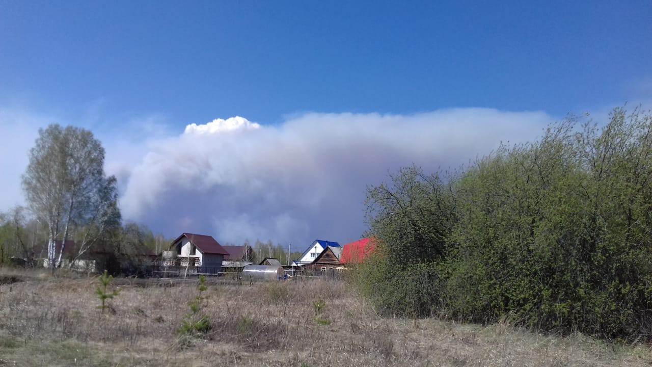 The Kurgan region is on fire. - My, Mound, Kurgan region, Fire, Element, Longpost, Negative