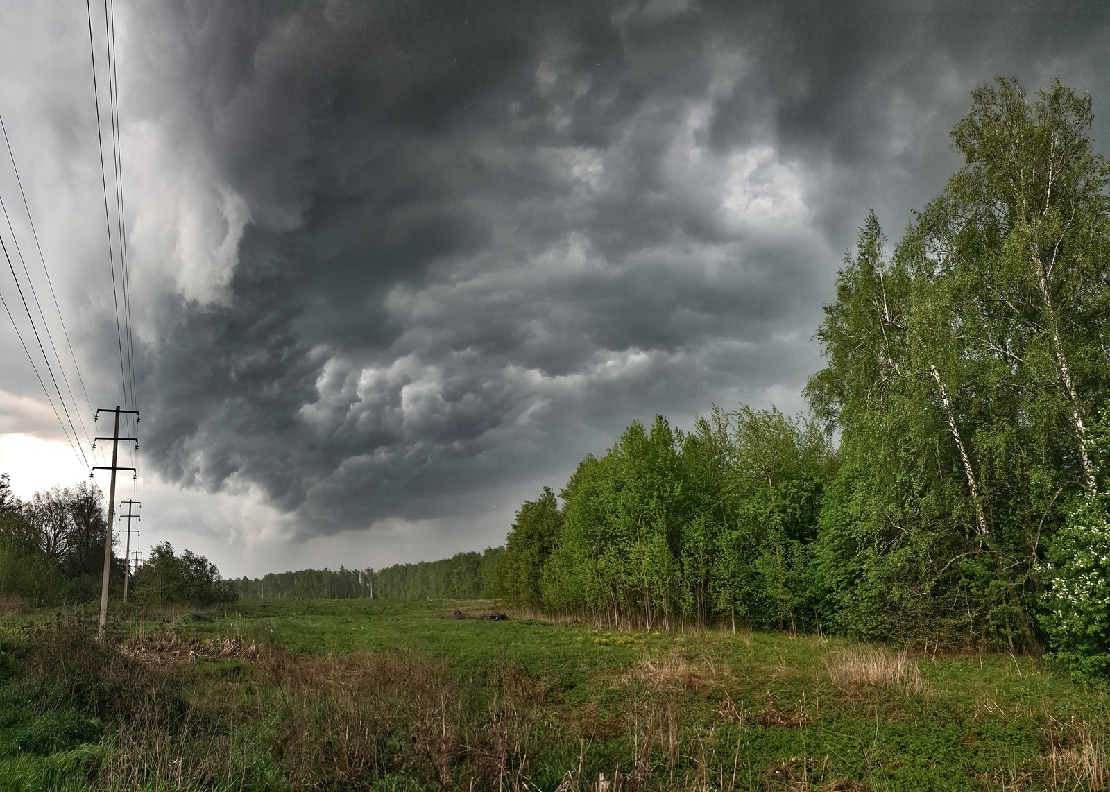 May thunderstorm - My, Mobile photography, Thunderstorm, Nature