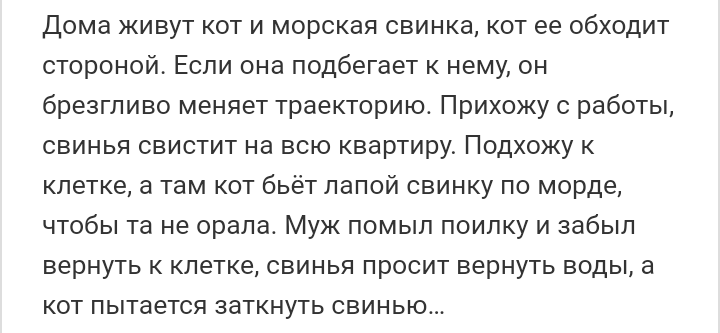 Как- то так 386... - Исследователи форумов, ВКонтакте, Подборка, Обо всём, Скриншот, Как-То так, Staruxa111, Длиннопост