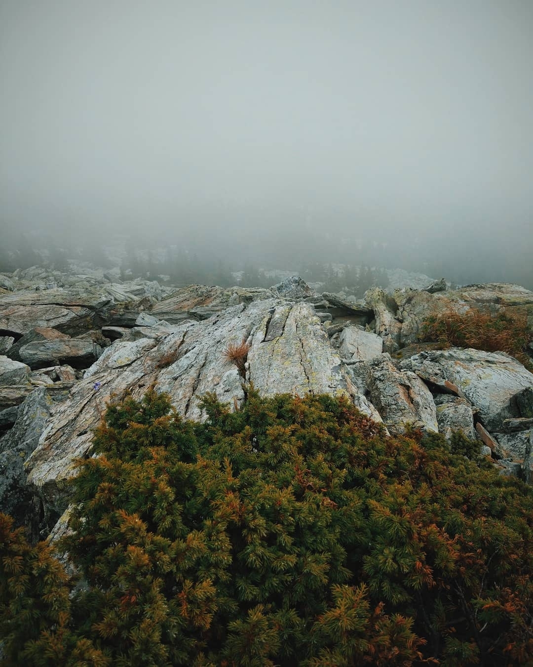 Contrast Ural - Ural, Urenga Range, The mountains, Tourism, Nature, Chelyabinsk region, Landscape, Fog