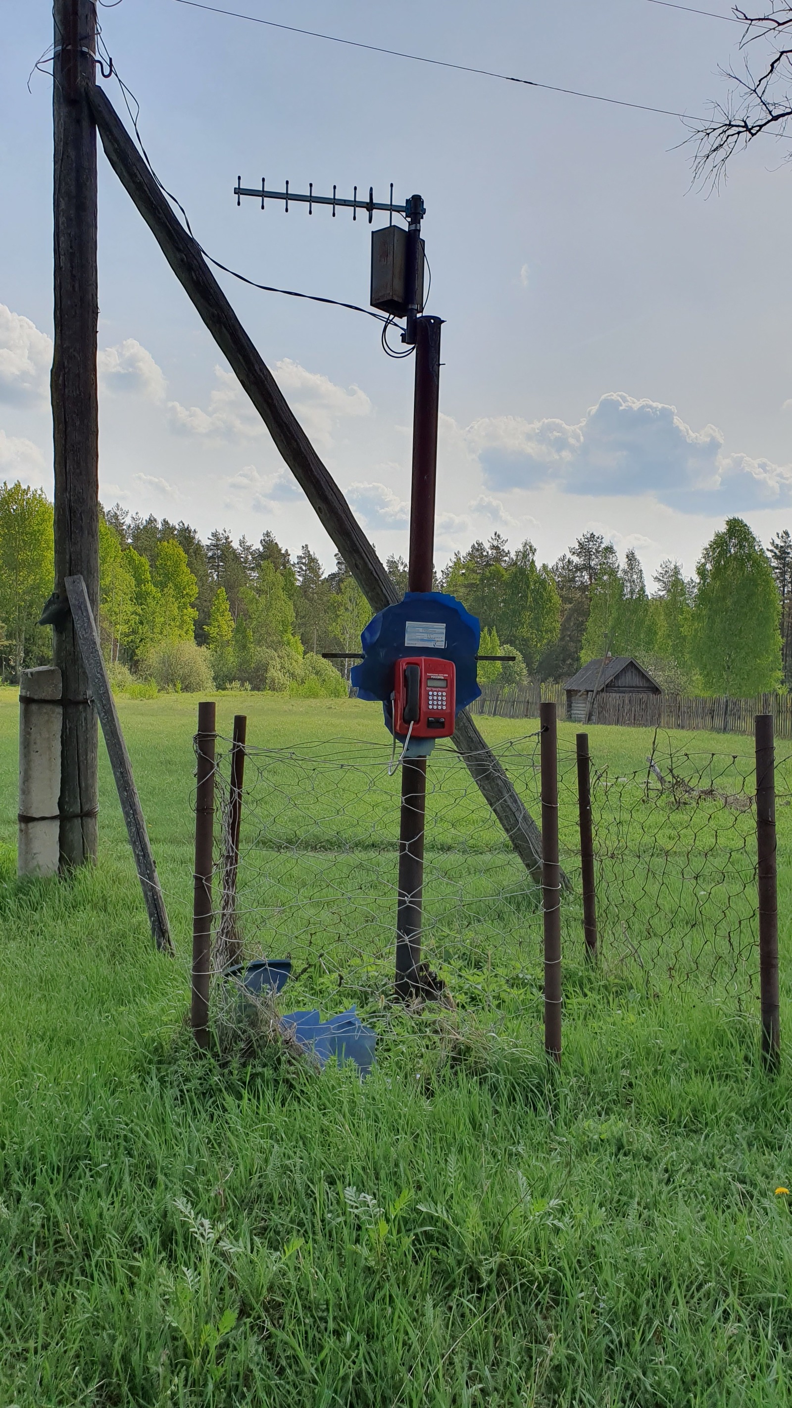 Велопрогулка по Мещере - Моё, Велопрогулка, Мещера, Лес, Поход, Фэтбайк, Велосипед, Длиннопост