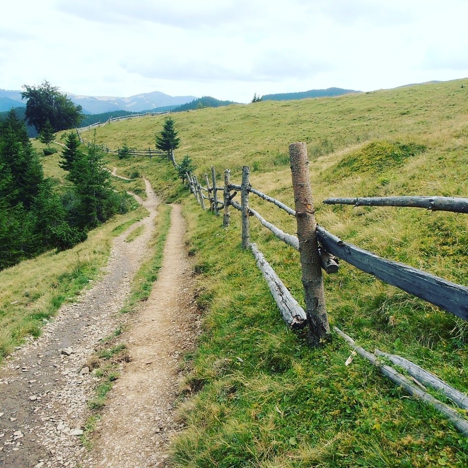 A bit of Carpathian beauty - My, Carpathians, The mountains, Nature, Longpost