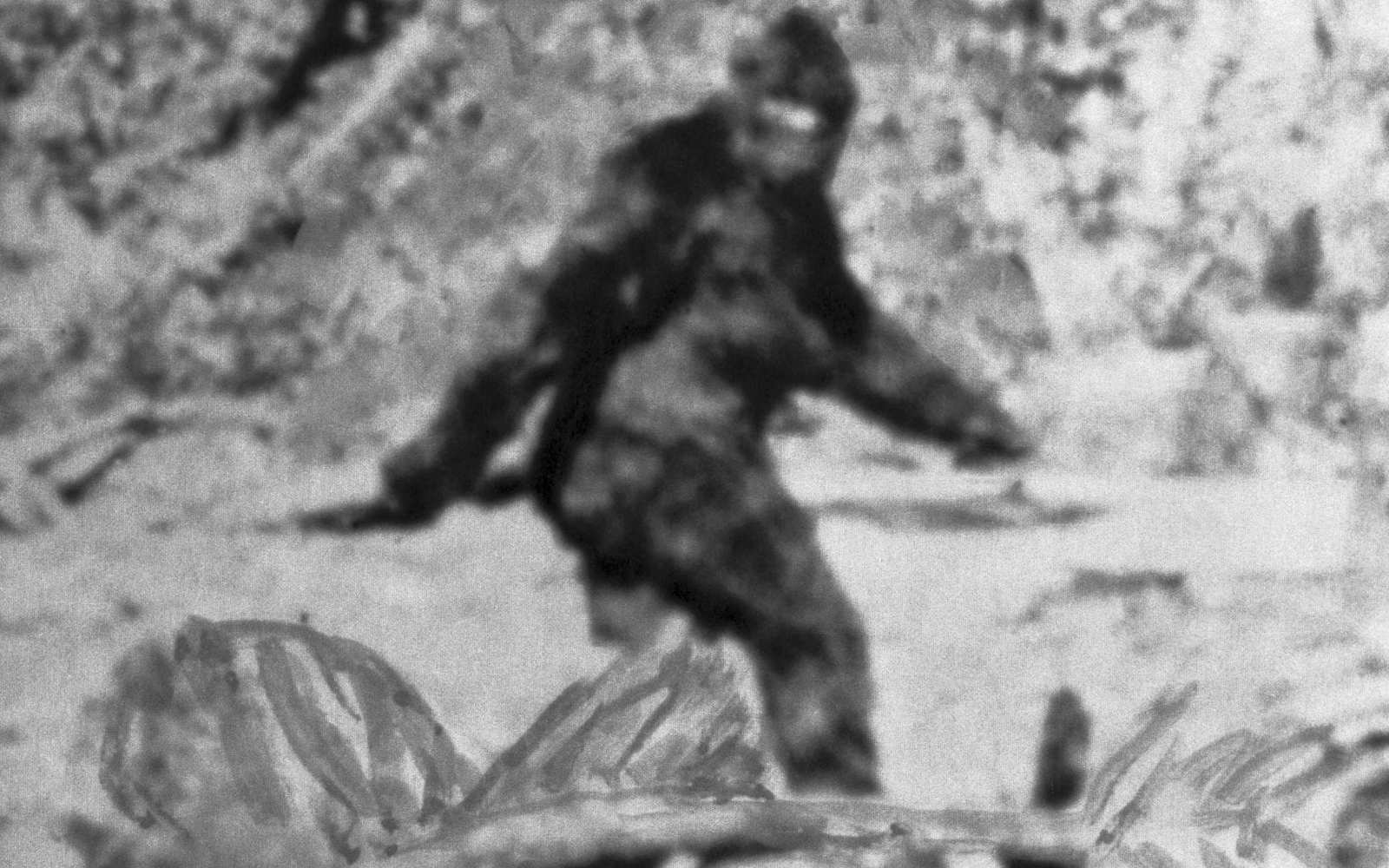 Bigfoot Mystery Revealed - Yeti, Harry Bigfoot, Mystery, Тайны