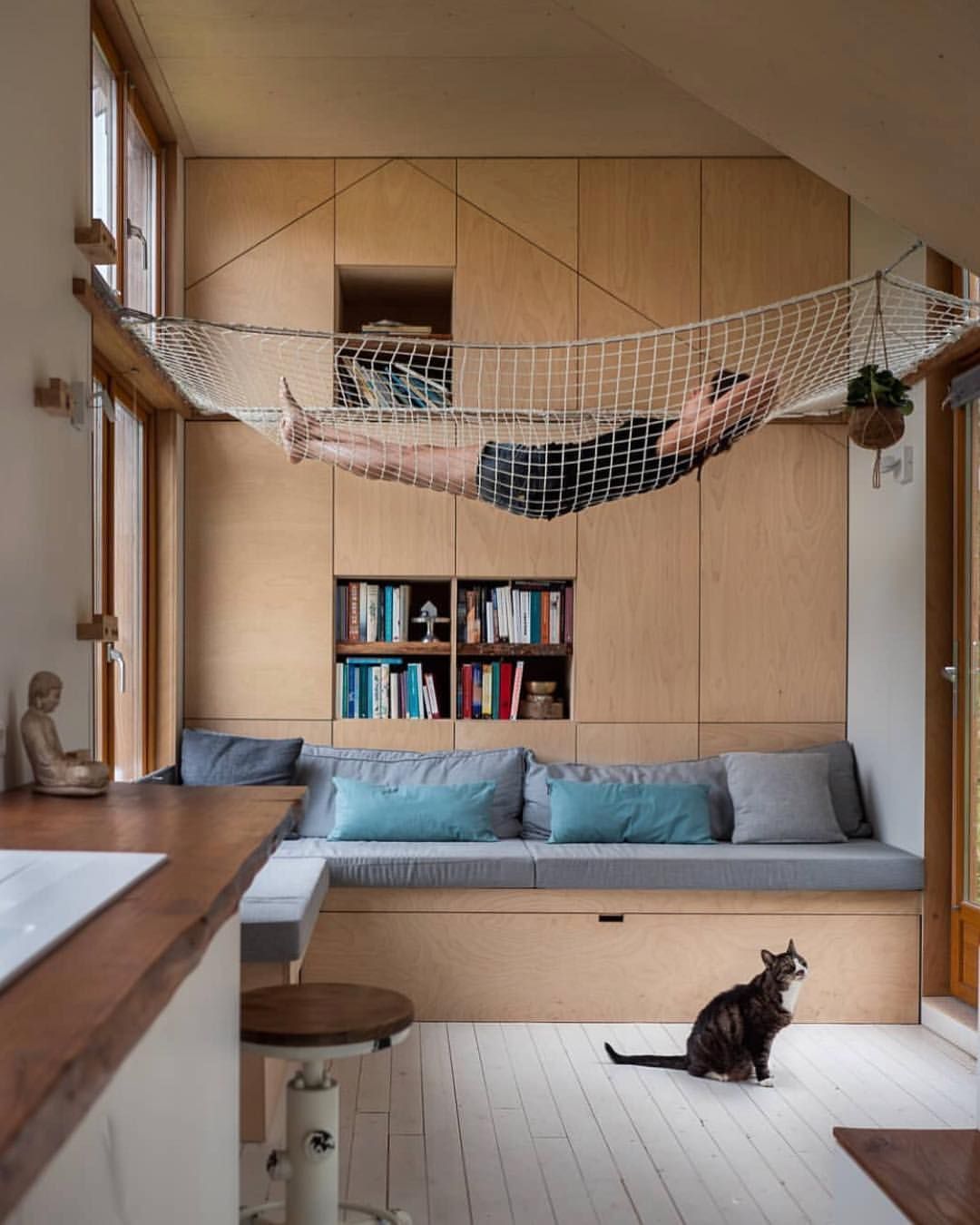 Tired of the cat - cat, Hammock