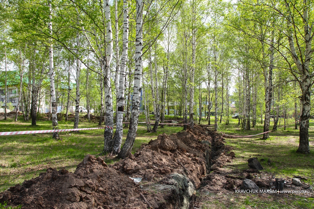 Не плюсов ради - Церковь, Вырубка, Наглость, Без рейтинга