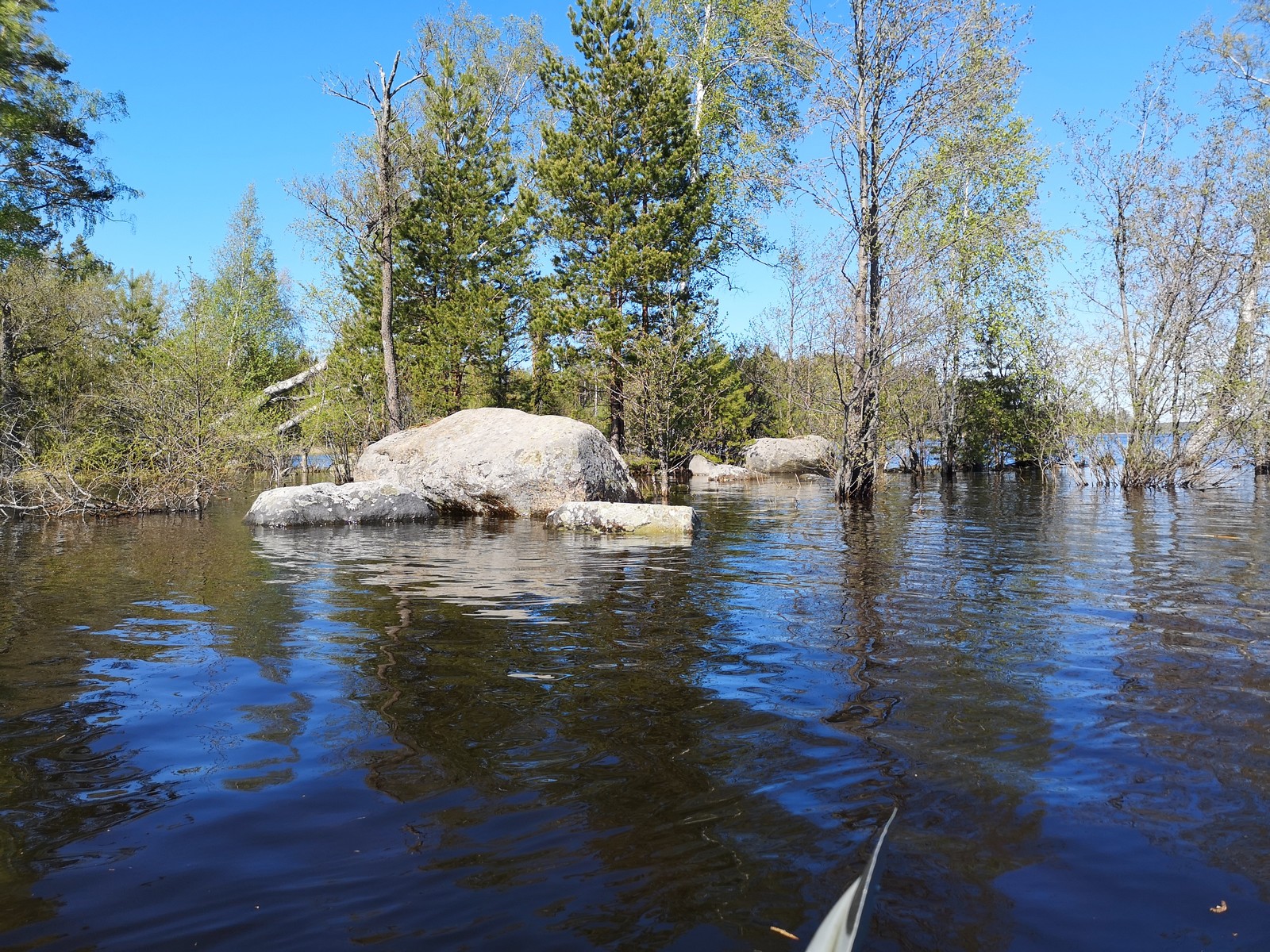 Some photos from Vuoksa - My, Vuoksi, Kayak, Nature, Longpost