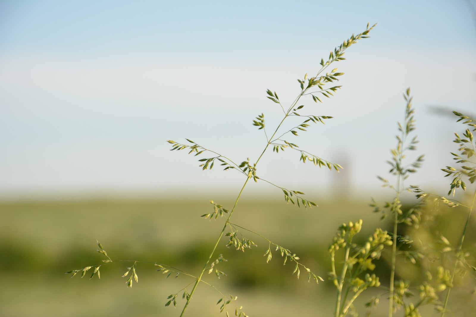 Cycling with a camera - My, The photo, Bike ride, Longpost