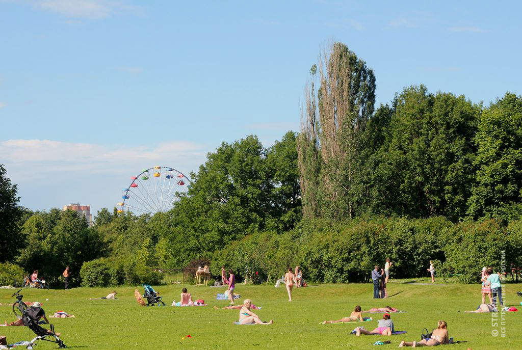 Южно приморский парк фото в санкт петербурге