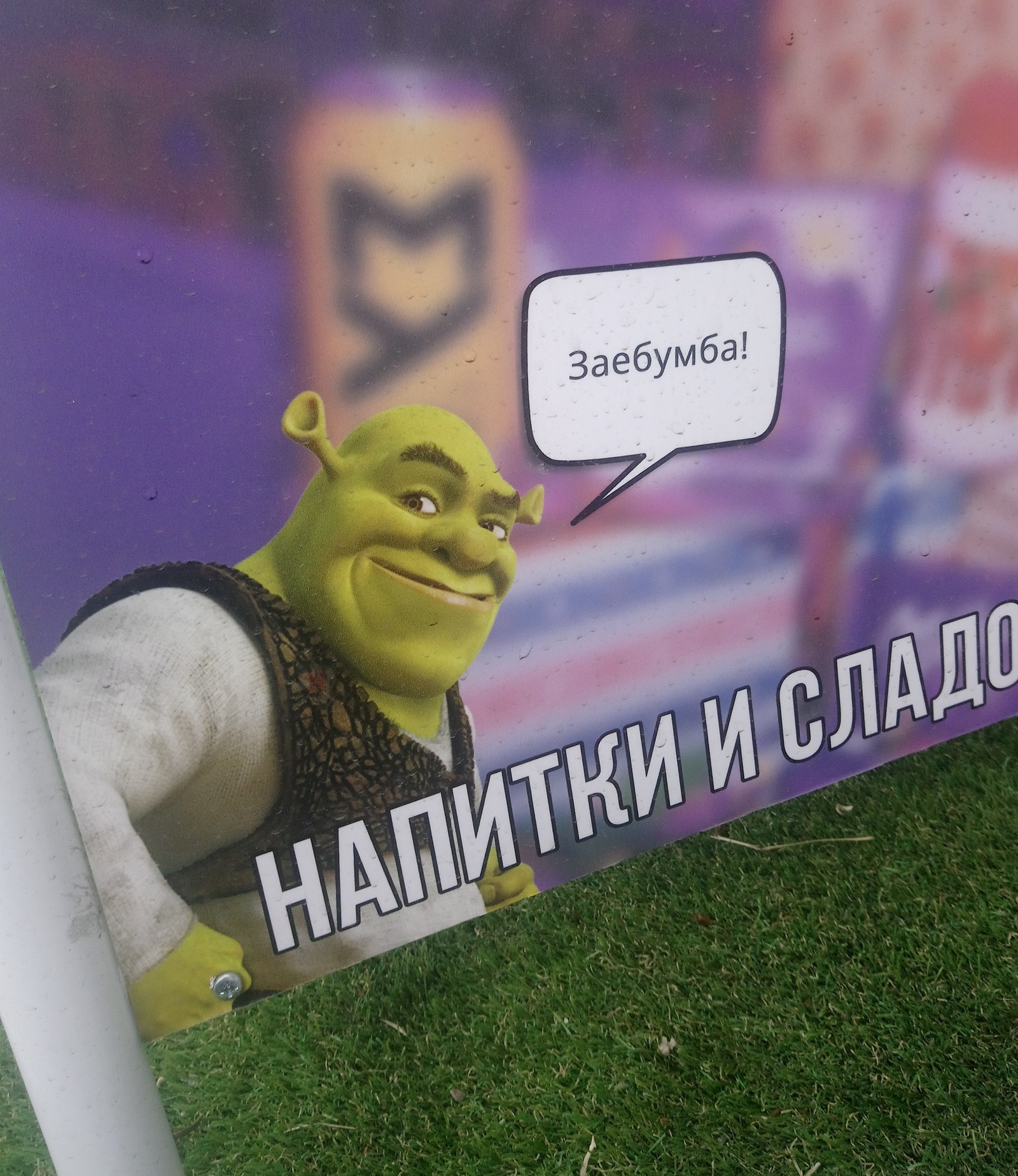 Шрек заебумба