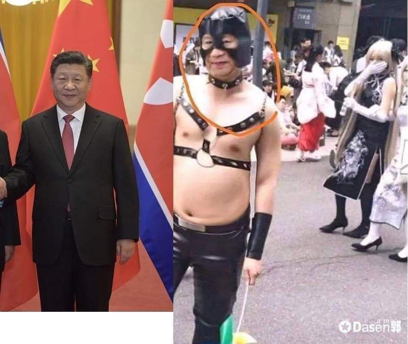 The Dark Side of the Chair - Cosplay, Humor, Coincidence, Rave, Japan, China, Xi Jinping, , Van Darkholm