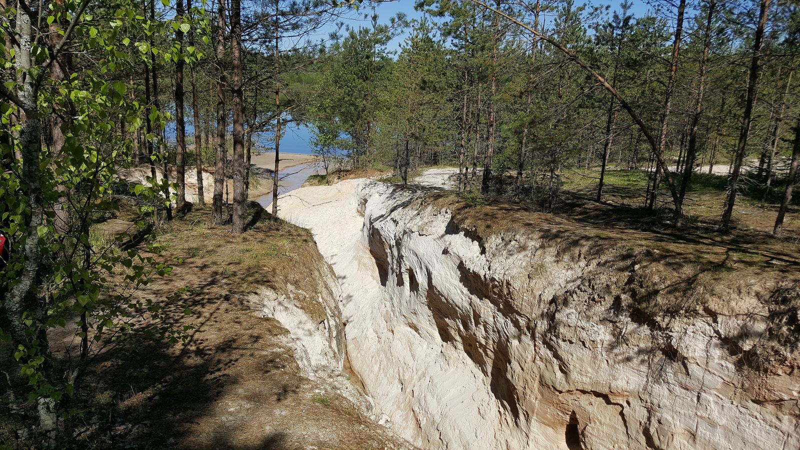 Лужский каньон фото