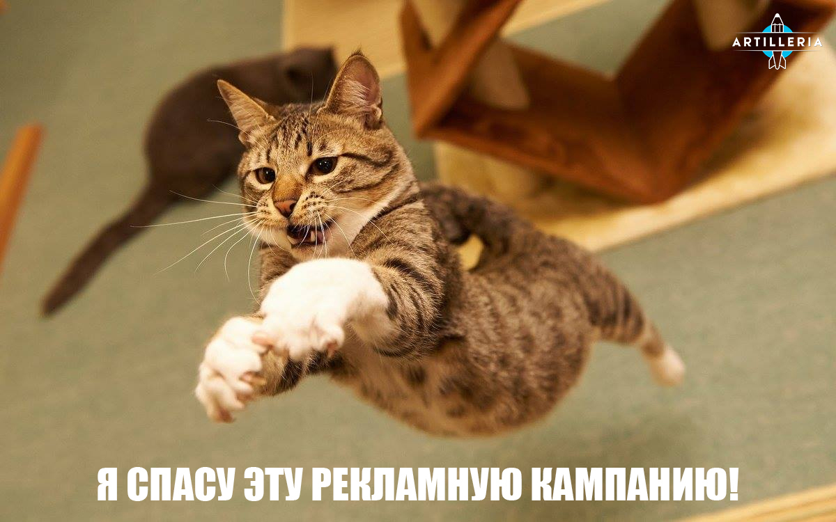 If cats worked in the agency - My, , cat, Catomafia, Agency, Advertising agency, Longpost