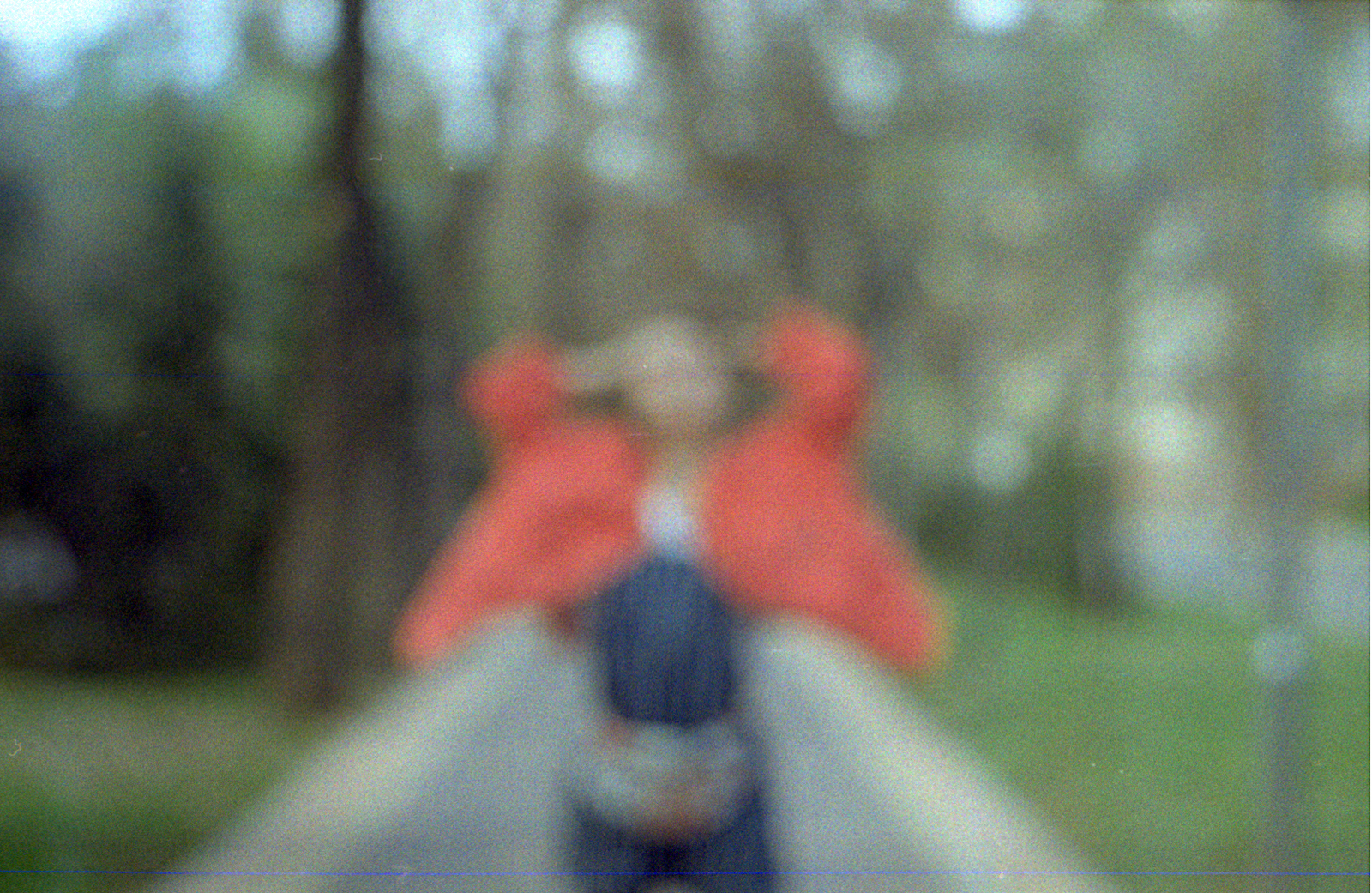 Looking through a broken lens - My, Film, The photo, Longpost