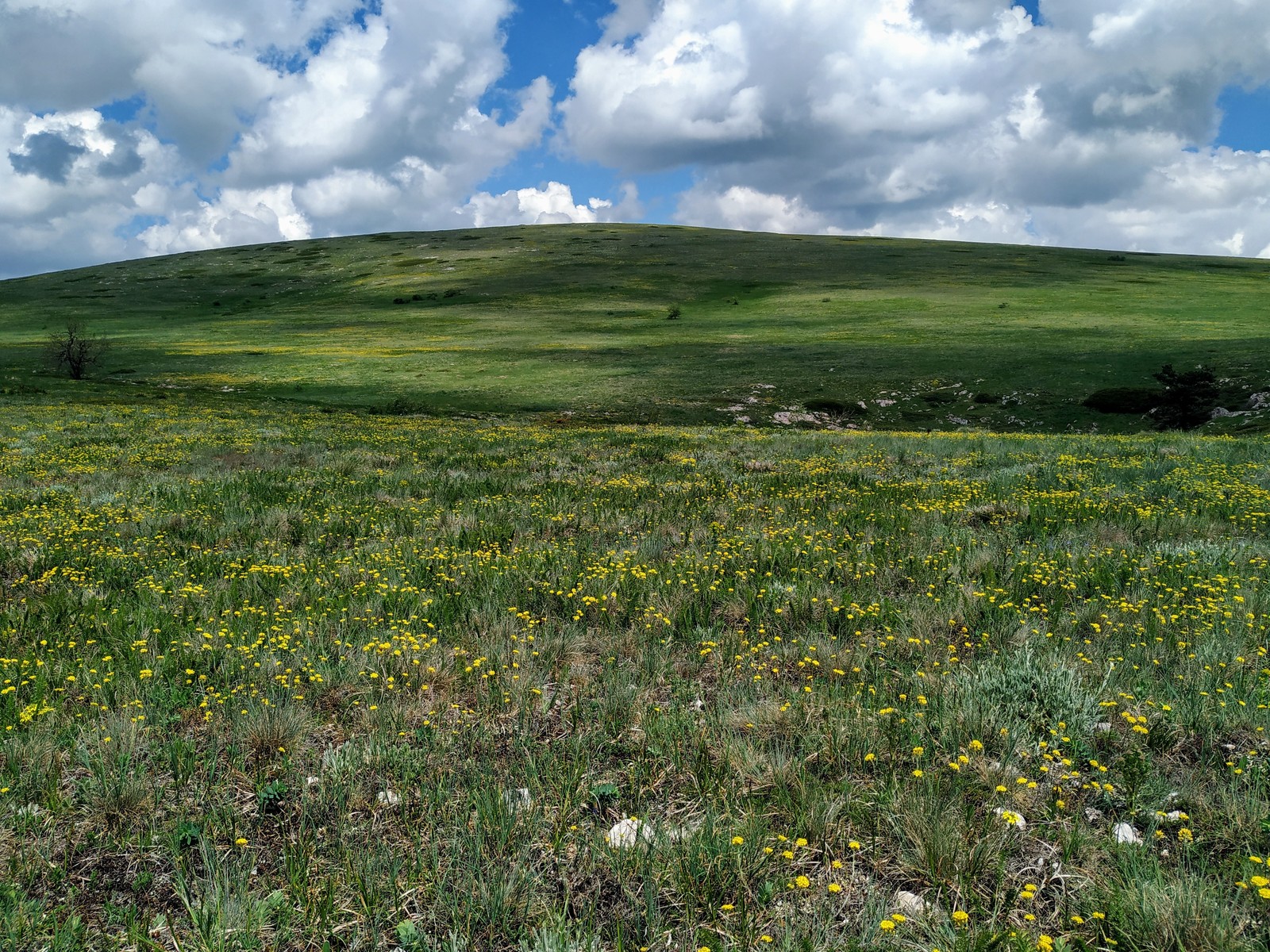 Serenity - My, The photo, Nature, Hiking