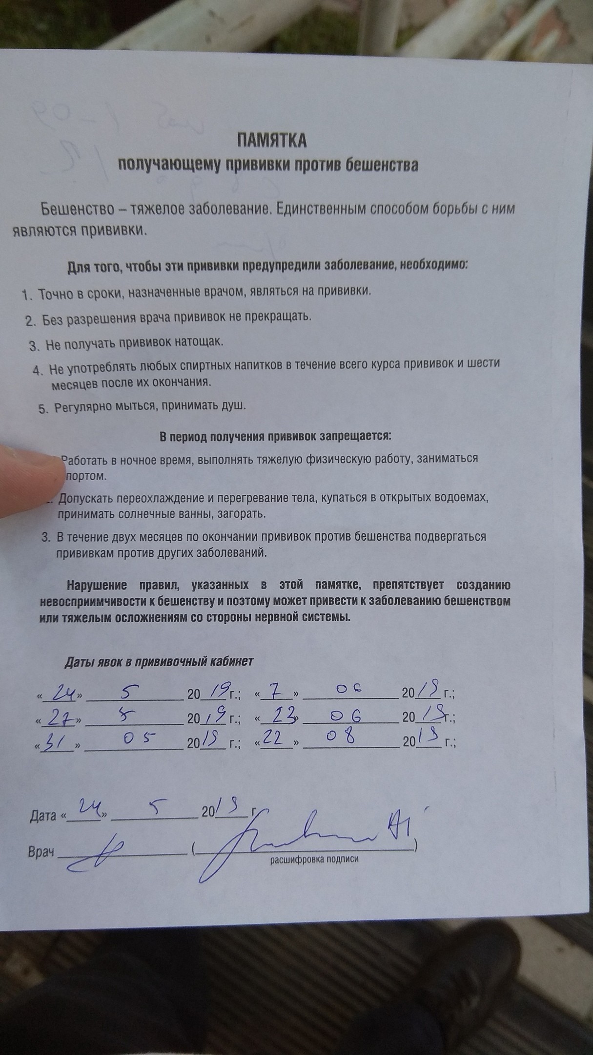 Красноярск, осторожно, собаки. - Моё, Бродячие собаки, Красноярск, Длиннопост