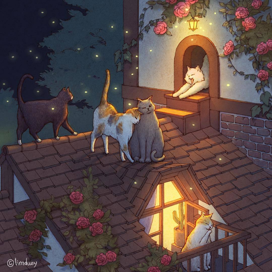 Cozy cat world from Korean artist Limduey - cat, Artist, Limduey, Art, Longpost