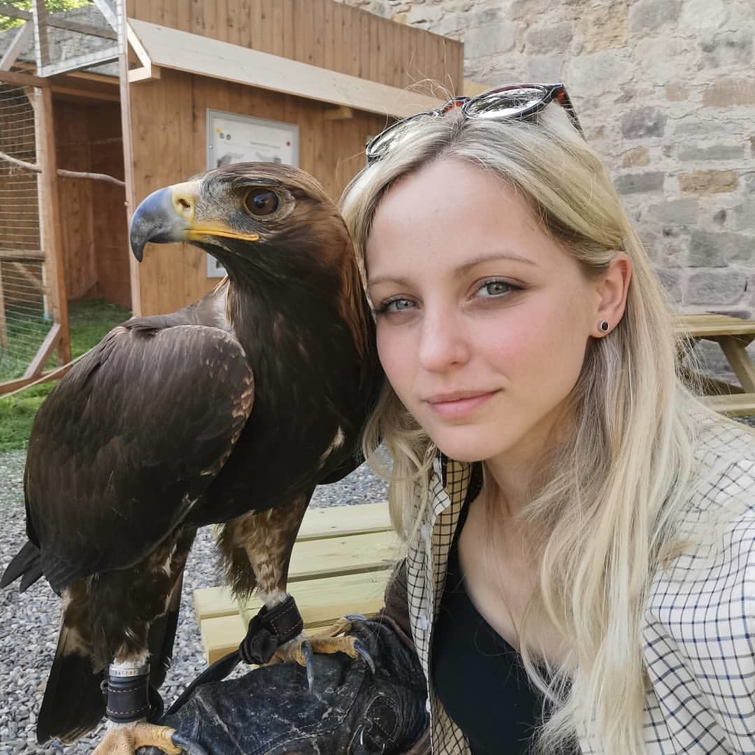 Golden eagle - Golden eagle, Girls, Birds