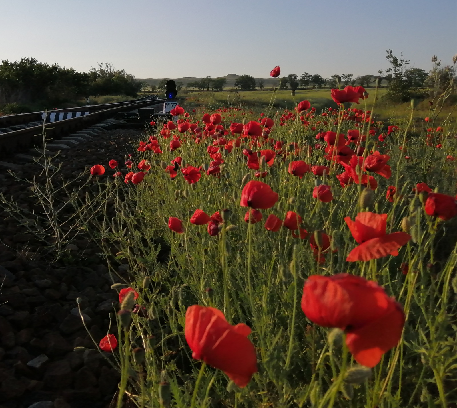 Crimea. Evening walks - My, Beginning photographer, Photo on sneaker, Honor, Crimea, Longpost