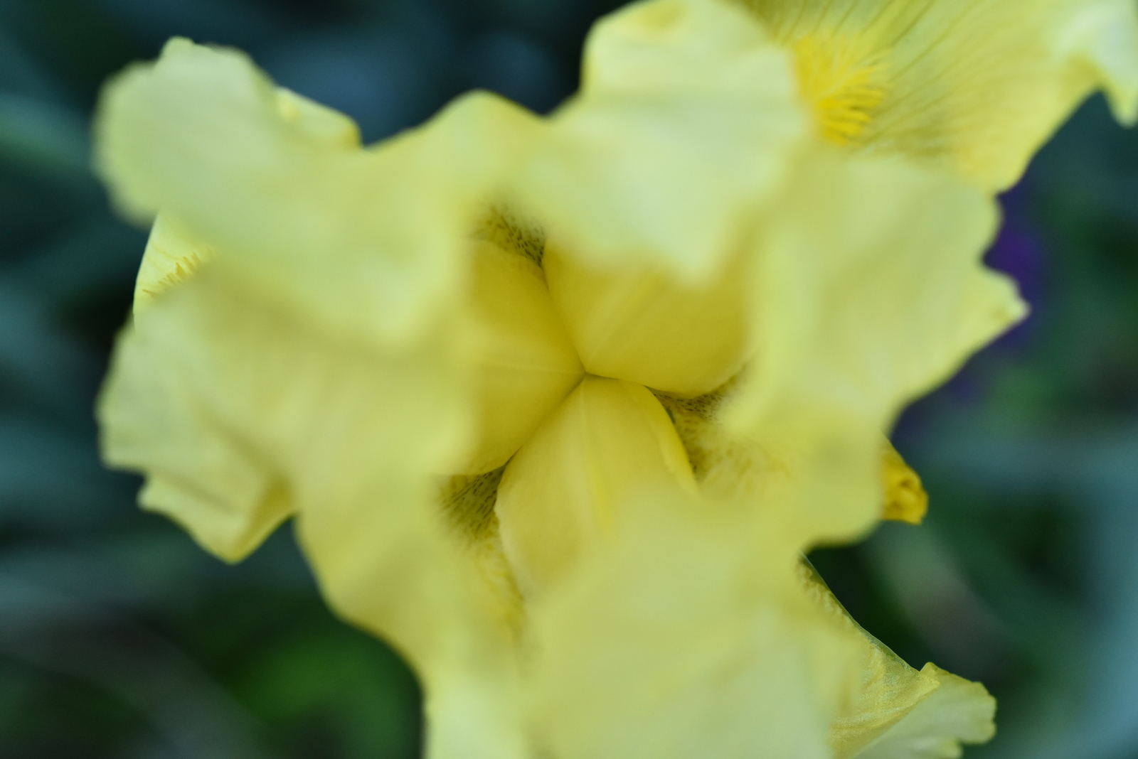 UNS #1 | Пикабу