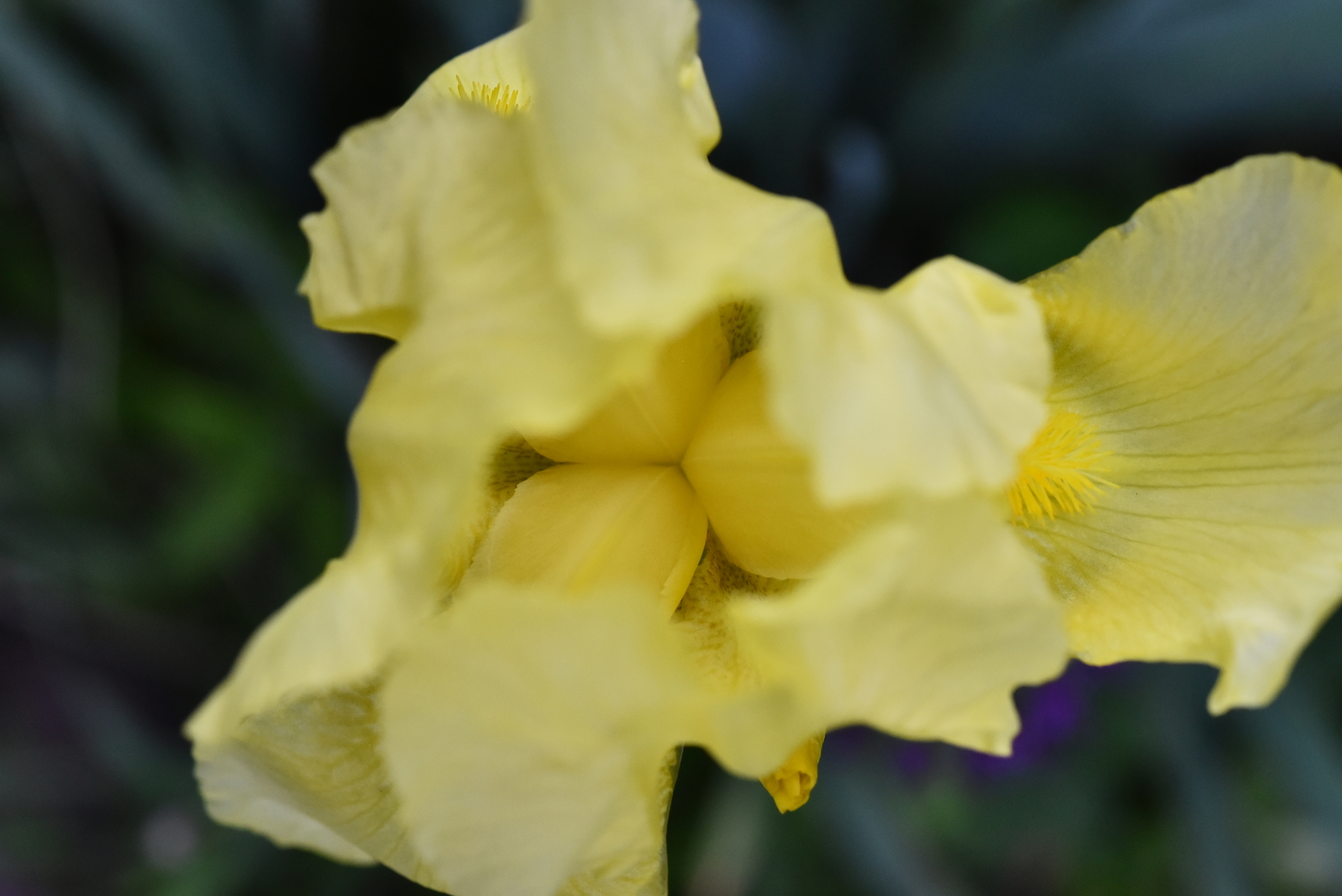 UNS #1 | Пикабу