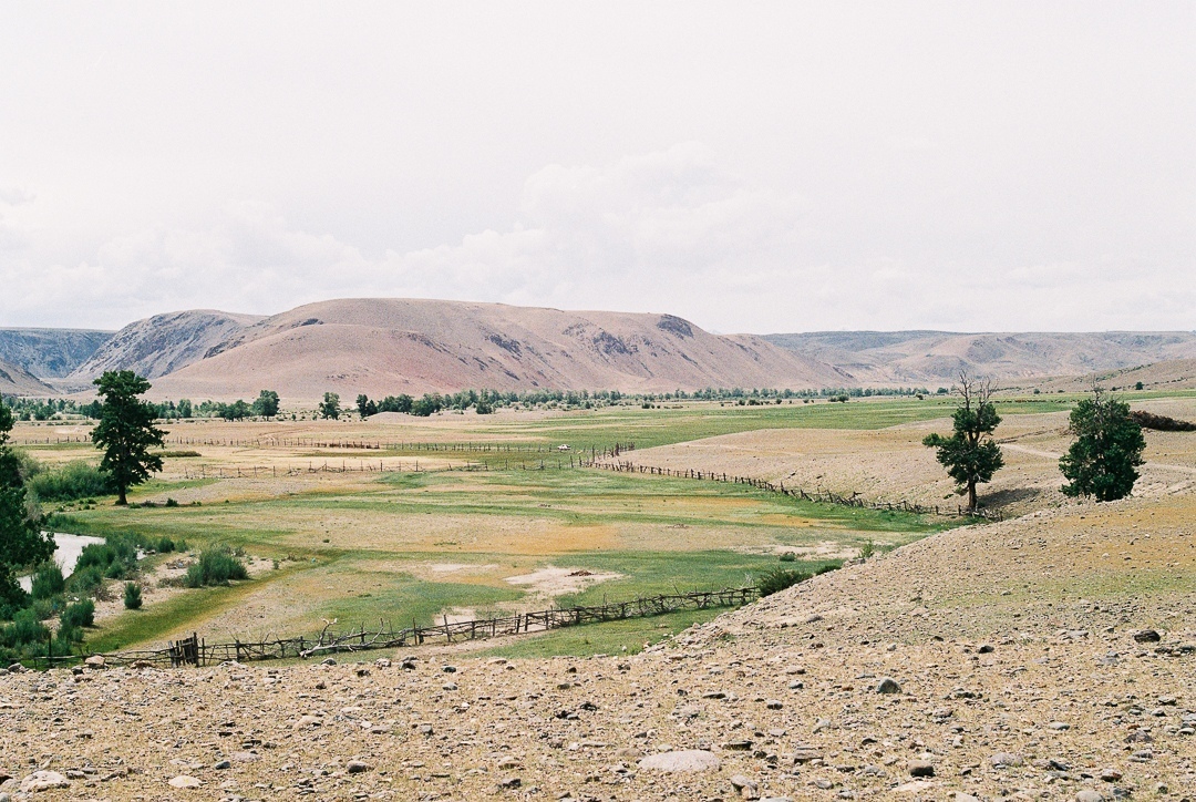 Altai Republic. - My, Altai, The photo, Nature, Travels, Russia, Longpost, Altai Republic