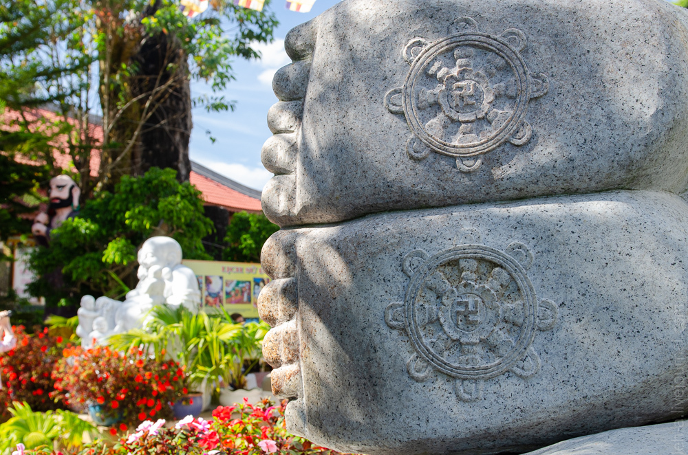 A pig will always find dirt - My, Lytdybr, Vietnam, Dalat, Temple, Safonovo, Longpost