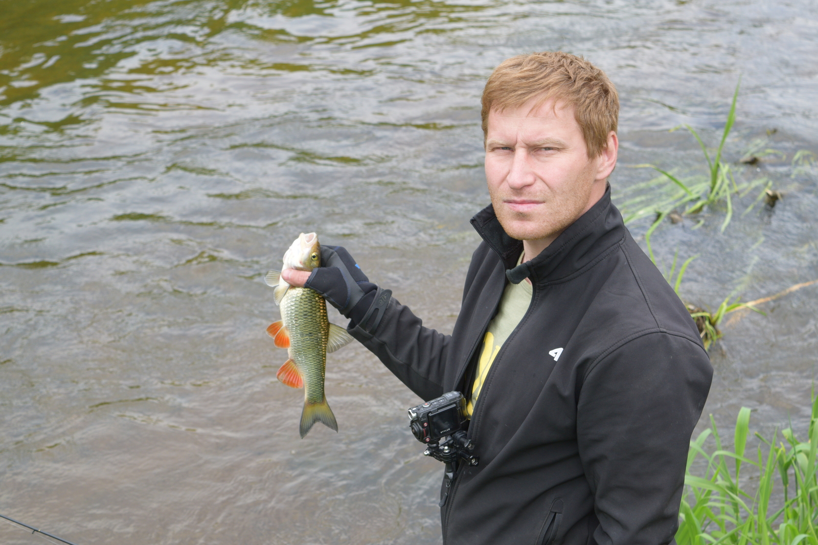 And why are there so many fish in this microriver? - My, Fishing, Chub, River, Kaliningrad, Video, The photo, Longpost