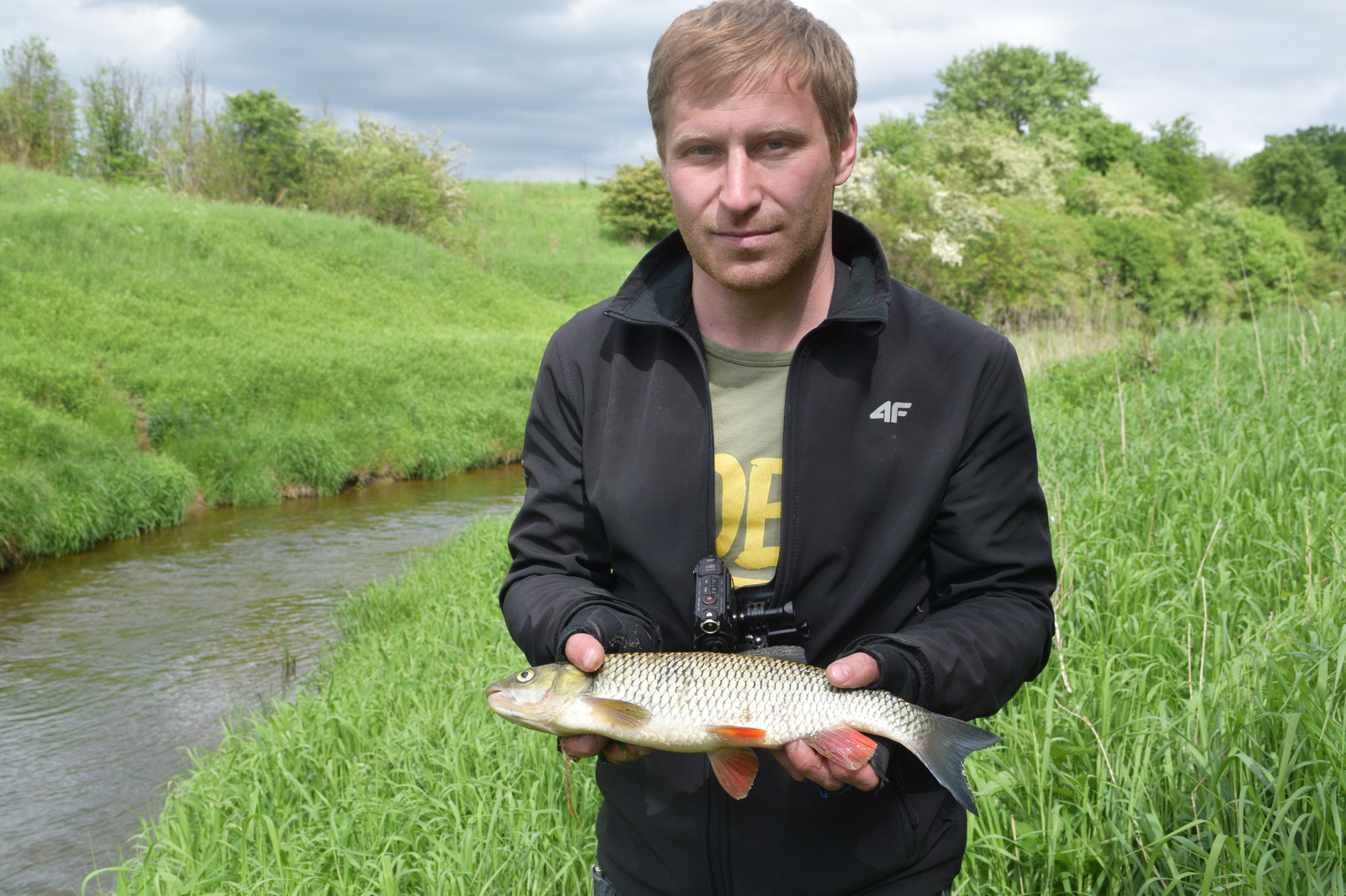 And why are there so many fish in this microriver? - My, Fishing, Chub, River, Kaliningrad, Video, The photo, Longpost