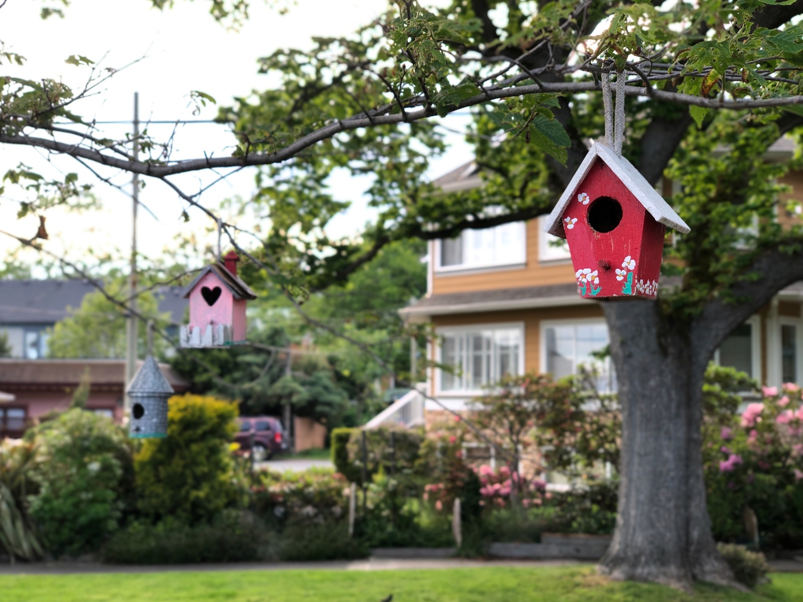 Canada - My, Canada, The street, House, Tree, Decoration, Miniature, beauty, Longpost