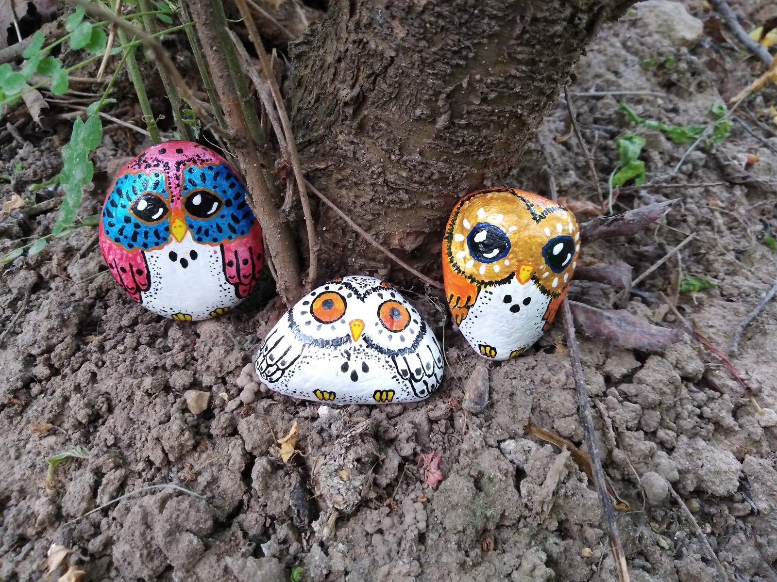 Stone owls as a gift! - My, Freebie, Is free, Owl, Handmade, Creation, For free, A rock